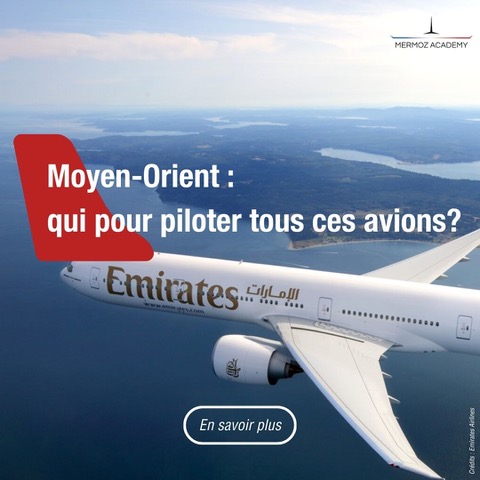 vue avion du ciel au dessus - avion de ligne compagnie Emirates du moyen orient