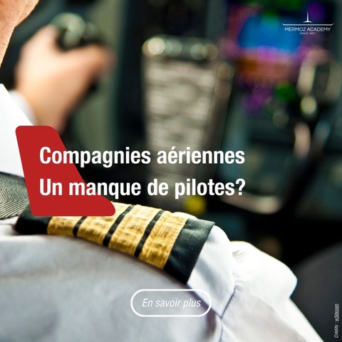 compagnie aérienne pénurie de pilote, image avec pilote aux commandes d'un avion de ligne